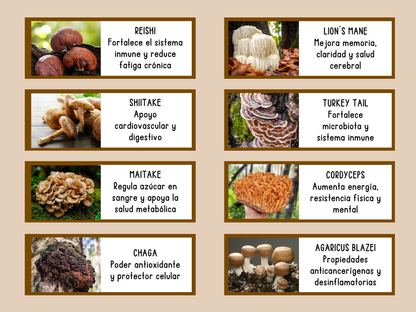 Maná coffe - Latte Glow